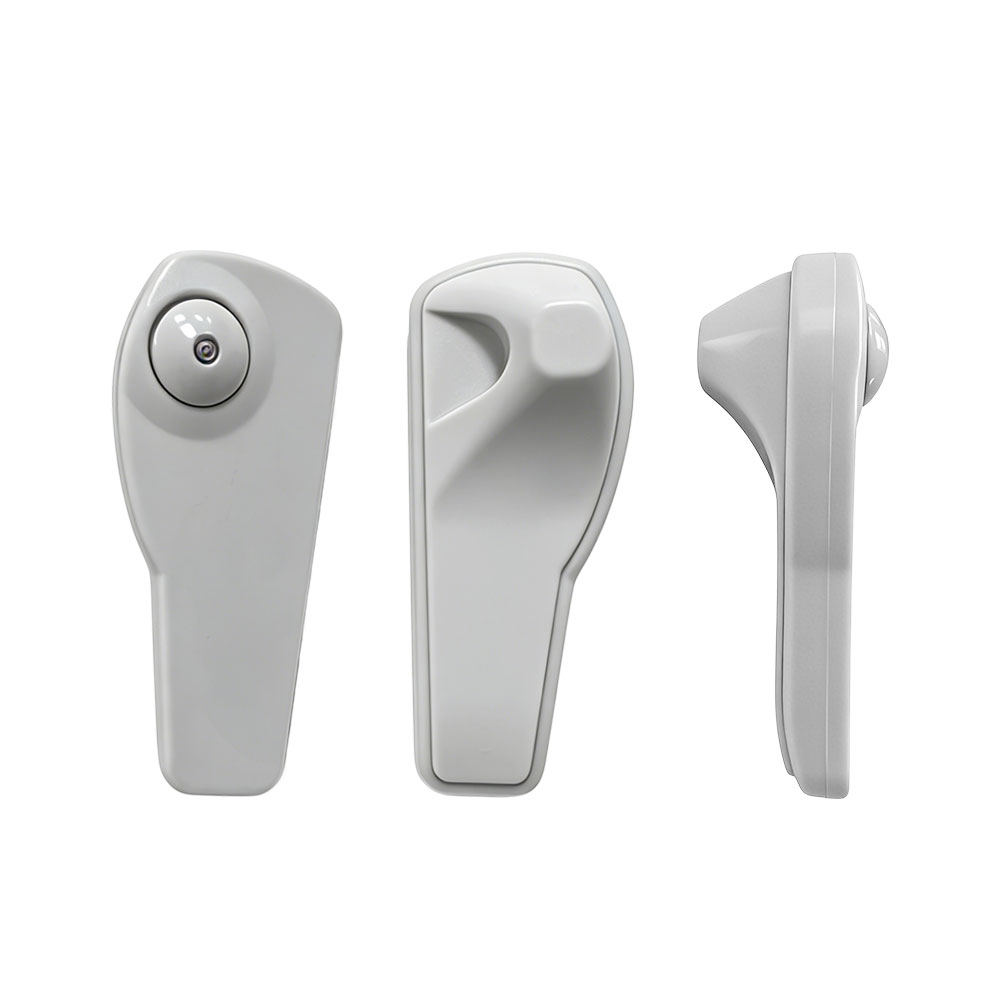  Lifangmei Technology